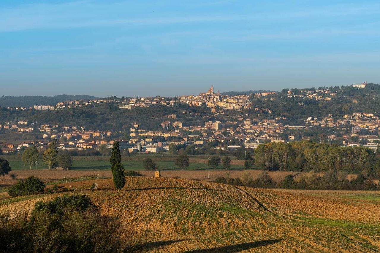 Podere Abbazia B&B Sinalunga Exteriér fotografie